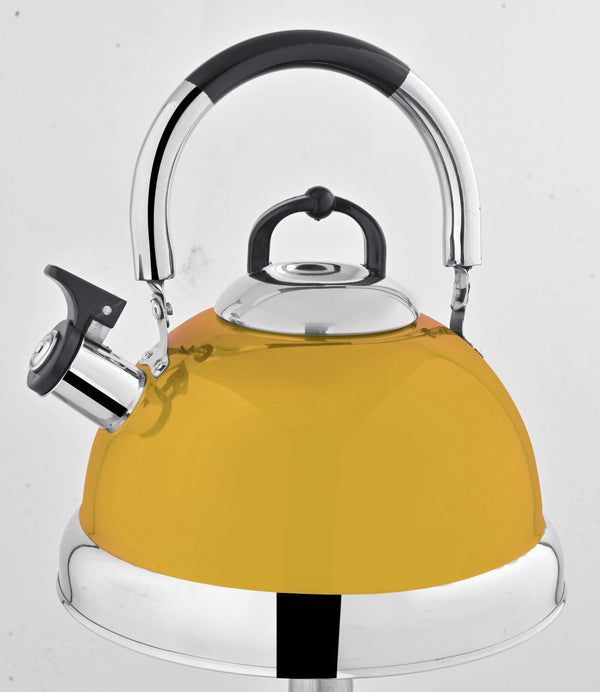 Elegant Whistling Tea Kettle – Mirror-Polished 5 L Stainless Steel for Kitchen