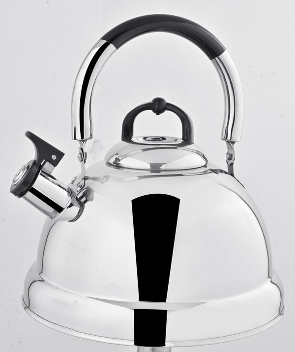 Elegant Whistling Tea Kettle – Mirror-Polished 5 L Stainless Steel for Kitchen